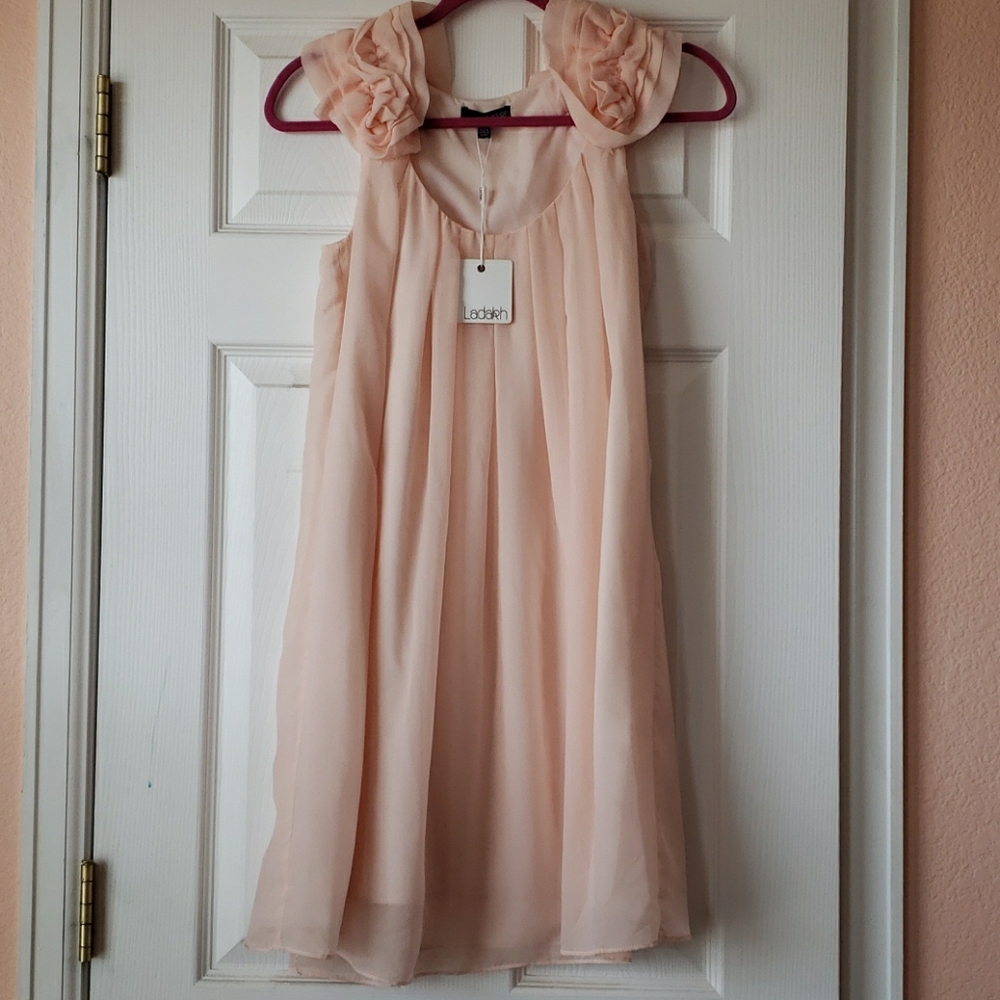 Ladakh pink dress